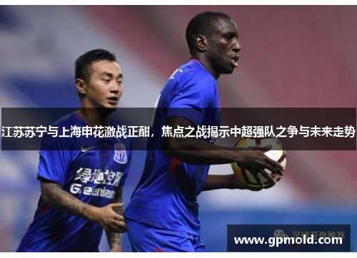 江苏苏宁与上海申花激战正酣，焦点之战揭示中超强队之争与未来走势