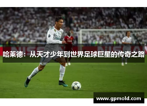 哈莱德：从天才少年到世界足球巨星的传奇之路