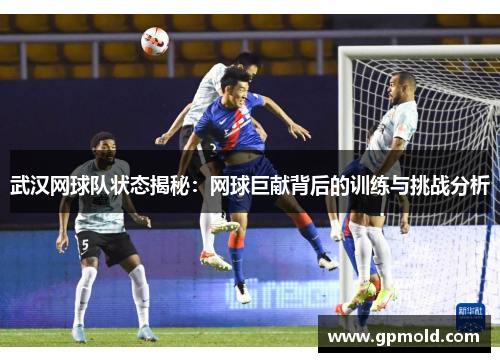 武汉网球队状态揭秘：网球巨献背后的训练与挑战分析