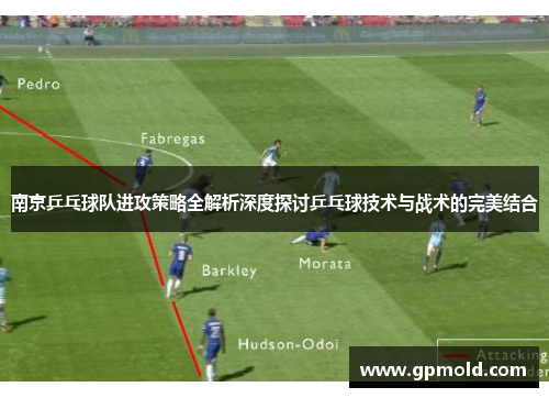 南京乒乓球队进攻策略全解析深度探讨乒乓球技术与战术的完美结合