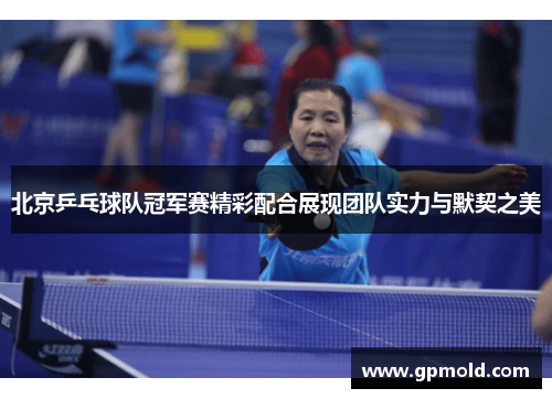 北京乒乓球队冠军赛精彩配合展现团队实力与默契之美
