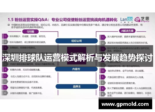 深圳排球队运营模式解析与发展趋势探讨