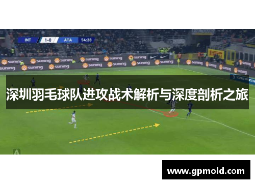 深圳羽毛球队进攻战术解析与深度剖析之旅