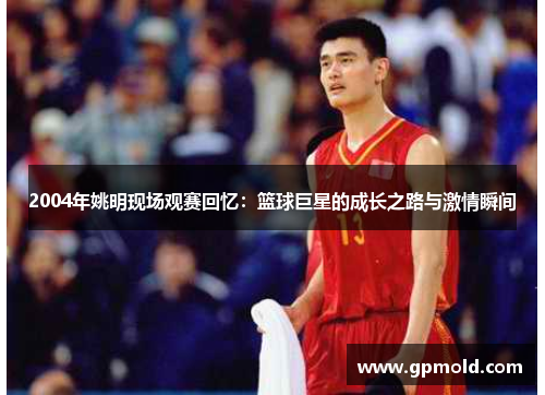 2004年姚明现场观赛回忆：篮球巨星的成长之路与激情瞬间