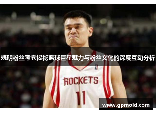 姚明粉丝考卷揭秘篮球巨星魅力与粉丝文化的深度互动分析