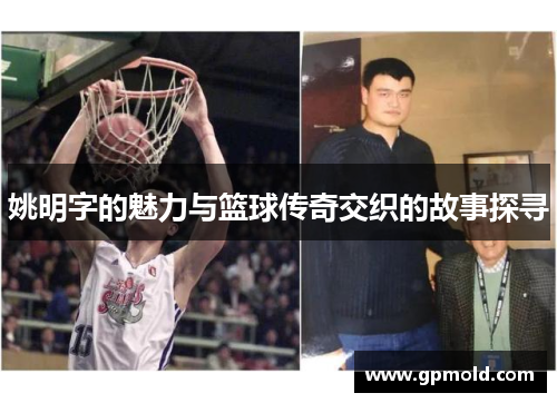 姚明字的魅力与篮球传奇交织的故事探寻