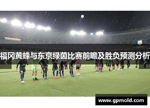福冈黄蜂与东京绿茵比赛前瞻及胜负预测分析