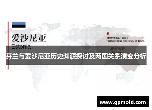 芬兰与爱沙尼亚历史渊源探讨及两国关系演变分析
