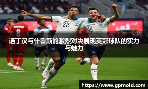 诺丁汉与什鲁斯的激烈对决展现英冠球队的实力与魅力