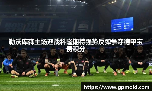 xingkong体育官网登录