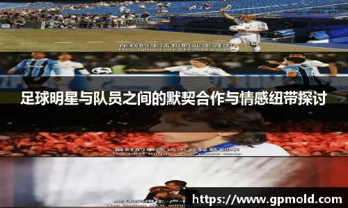 xingkong体育官网登录